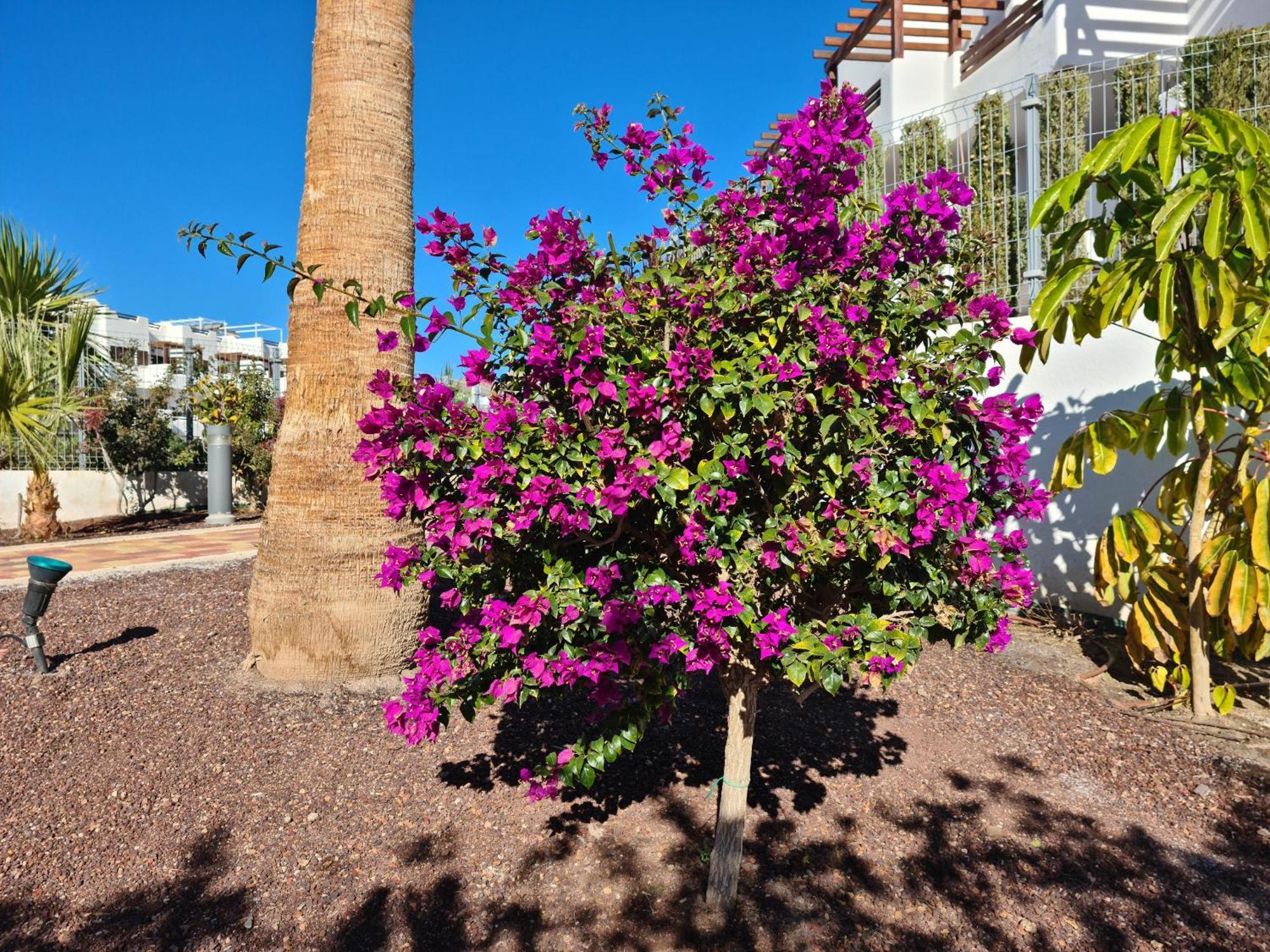 El Sueno Apartment San Juan De Los Terreros Luaran gambar