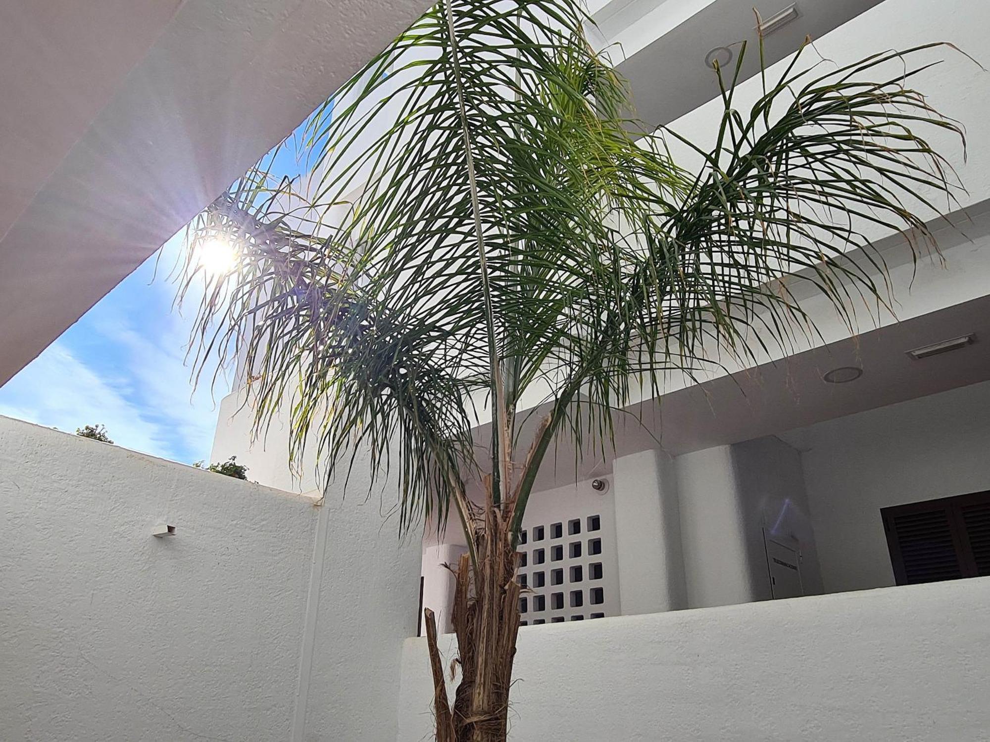 El Sueno Apartment San Juan De Los Terreros Luaran gambar